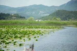 Virpazar: Historical & Nature Boat Adventure on Lake Skadar