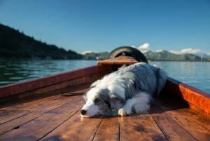 Virpazar: Historical & Nature Boat Adventure on Lake Skadar