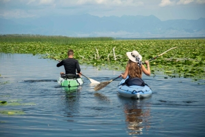 3h Guided Kayaking Adventure on Skadar Lake to hidden spots!