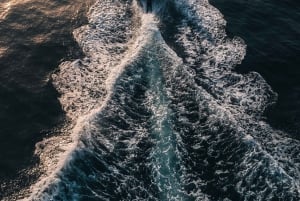 7 hr private tour Perast, Kotor Bay & Blue Cave, lunch break