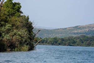 Adabojana-Amazonas Boat tours