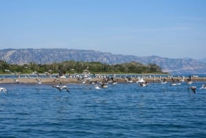 Adabojana-Amazonas (Ulcinj) Boat tours