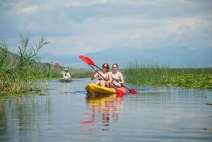 All Day Self-Kayaking to secret spots and wildlife observing