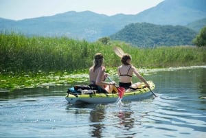 All Day Self-Kayaking to secret spots and wildlife observing