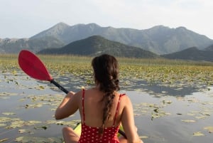 All Day Self-Kayaking to secret spots and wildlife observing