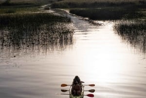 All Day Self-Kayaking to secret spots and wildlife observing