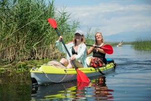 All Day Self-Kayaking to secret spots and wildlife observing