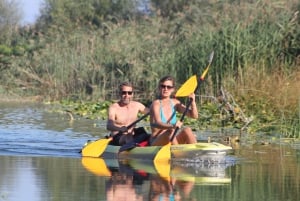 All Day Self-Kayaking to secret spots and wildlife observing