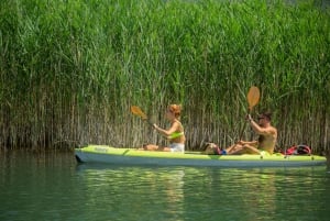 All Day Self-Kayaking to secret spots and wildlife observing