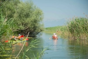 All Day Self-Kayaking to secret spots and wildlife observing