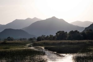 All Day Self-Kayaking to secret spots and wildlife observing