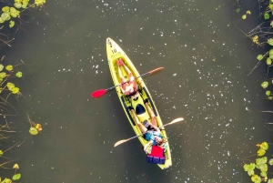 All Day Self-Kayaking to secret spots and wildlife observing