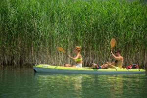 All Day Self-Kayaking to secret spots and wildlife observing