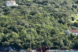 Azure Paradise: Blue Cave and Kotor Bay Boat Tour