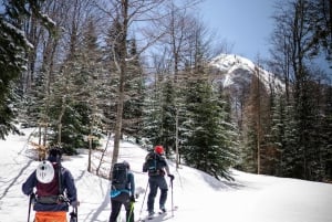 Backcountry skiing in Montenegro