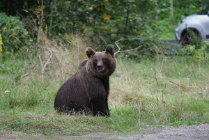 Balkans - Romania: 12-Days Motorcycle Tour 16.08. - 28.08.26