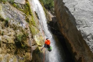 Bar: Canyoning in the Međurečki Canyon