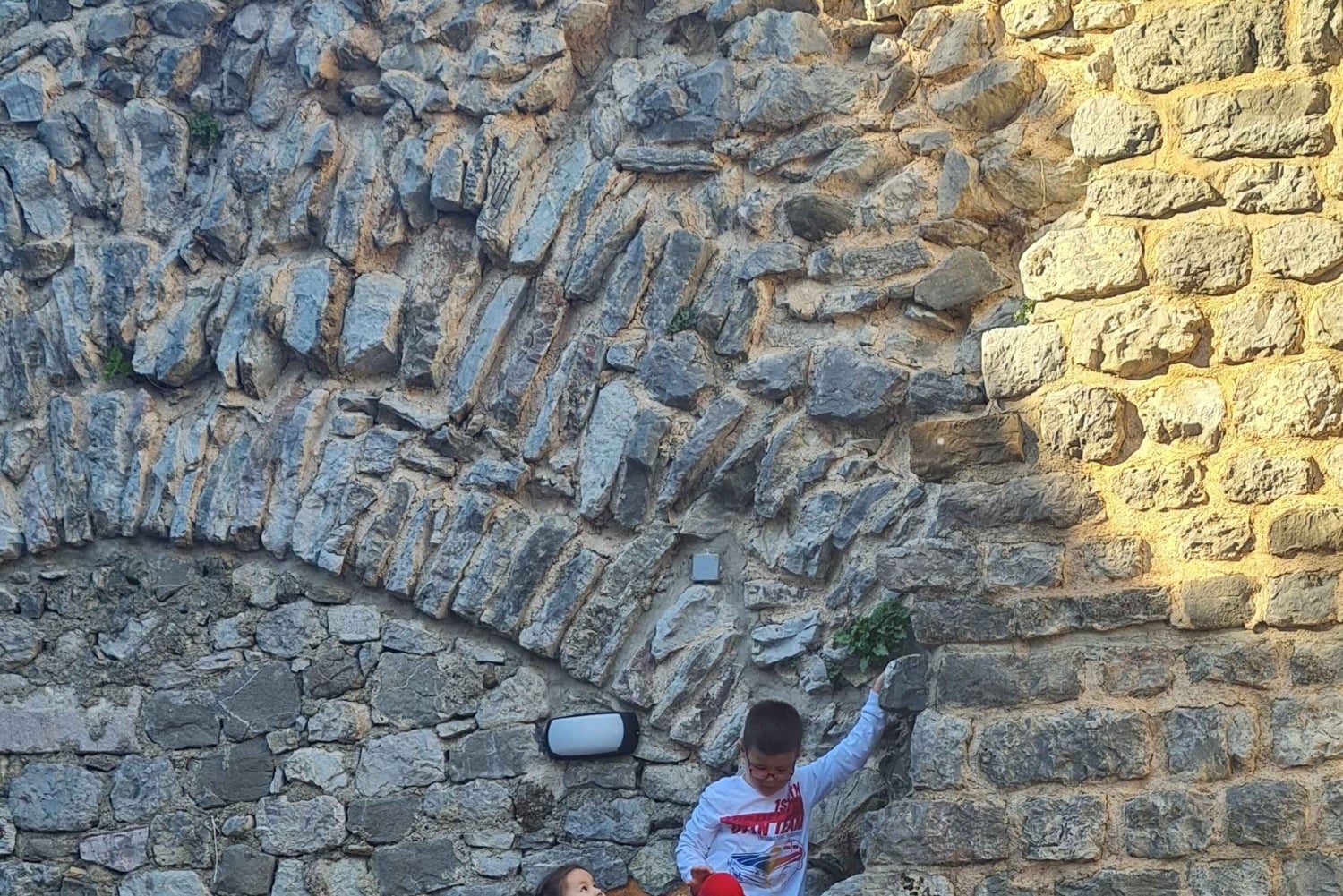 Bar: City Tour with Museum and Old Olive Tree Visit