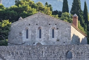 Bar: City Tour with Museum and Old Olive Tree Visit