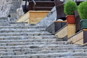 Bar: City Tour with Museum and Old Olive Tree Visit