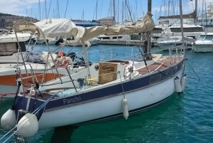 Bar: Private Sailing Tour with Swimming Stops