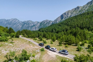 Bar: Rumija 4x4 Experience with a Traditional Lunch