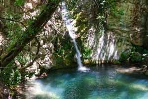Bar: Old Town and Rikavac Canyon Tour with Food and Rakija