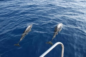 Bari: Half-Day Dolphin-Searching Sailboat Cruise with Snack