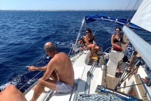 Bari: Half-Day Dolphin-Searching Sailboat Cruise with Snack