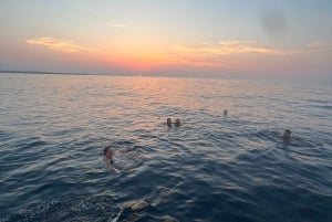Bari: Half-Day Dolphin-Searching Sailboat Cruise with Snack