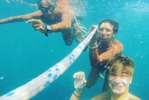 Bari: Half-Day Dolphin-Searching Sailboat Cruise with Snack