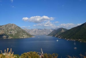 Bay of Kotor: 2-Hour Stand Up Paddle Board Tour