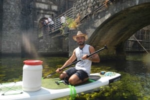 Bay of Kotor: 2-Hour Stand Up Paddle Board Tour