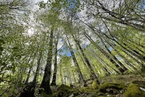 Biogradska Gora National Park - monastery & Moraca Canyon