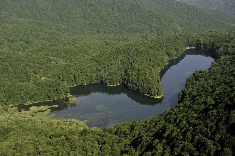 Biogradska Gora National Park