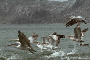 Boat Cruise Viktor – Skadar Lake: Visit Karuč