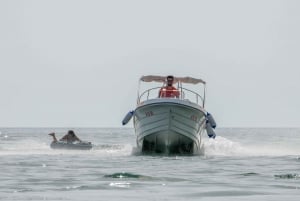 Adabojana-Amazonas Boat tours