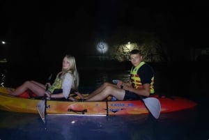 Budva: Night Lights Kayaking Tour