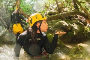 Budva Canyoning: Drenostica Canyon Adventure