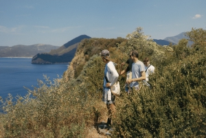 Budva: Kayak & Hike Experience on Sveti Nikola Island