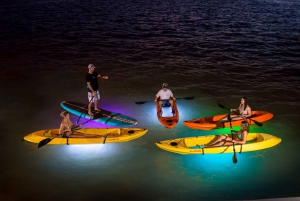Budva: Night Lights Kayak and SUP Adventure