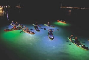 Budva: Night Lights Kayak and SUP Adventure