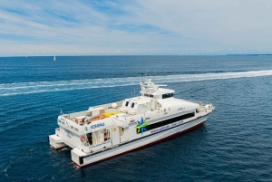 Budva to/from Dubrovnik: Day Trip or One-Way by Fast Ferry