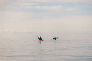 Budva: Winter Sea Kayak Tour to Caves & St Nicholas Island