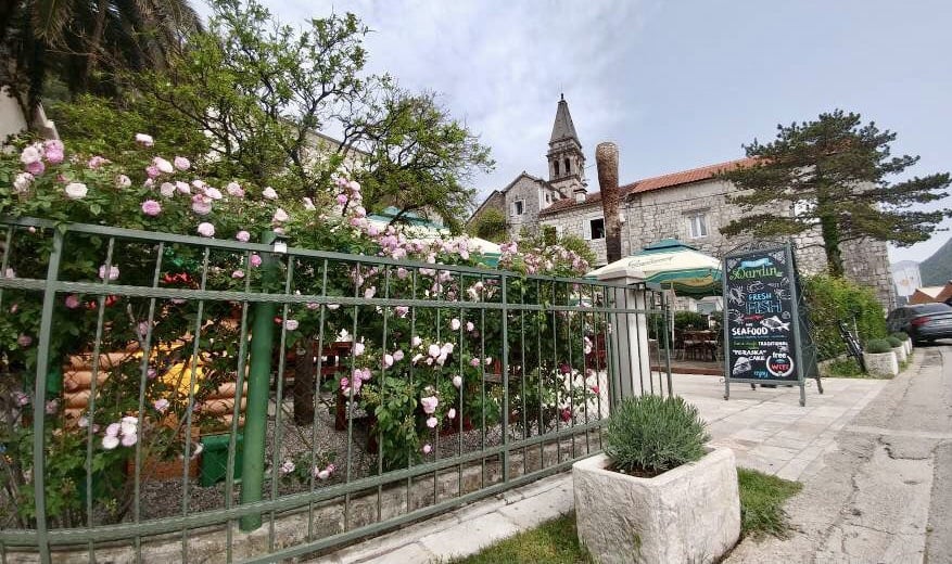 Best Restaurants in Montenegro