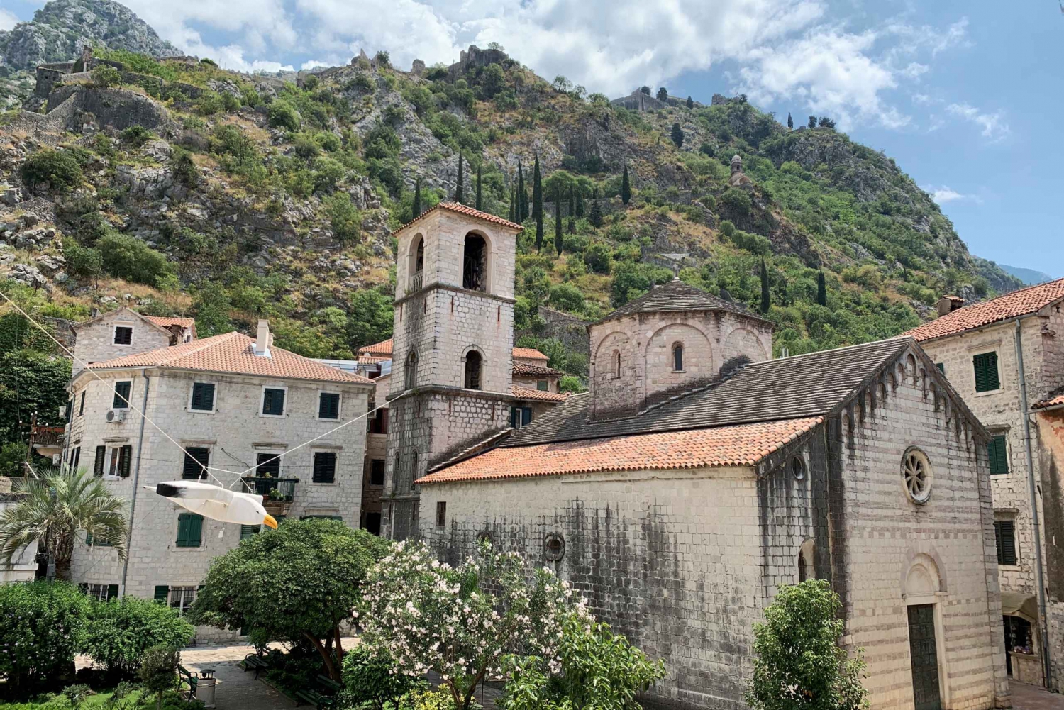 Kotor: Self-guided Discovery Walk of the Old Town