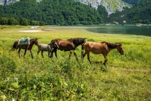 Climbing Mount Maglić: Visit to Trnovačko lake