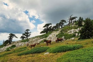 Croatia-Sicily-Amalfi Coast: Motorcycle Tour 05. - 27.10.25
