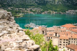 Day Tour of Montenegro from From Tirana/Durres/Golem