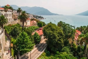 Discover Herceg Novi - Walking tour